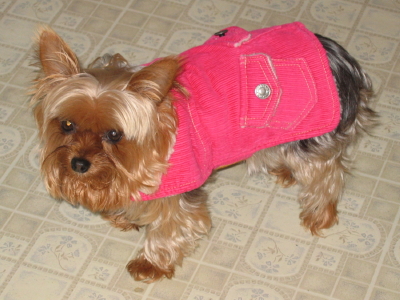 Abbi Picture