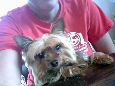 Abbi Picture