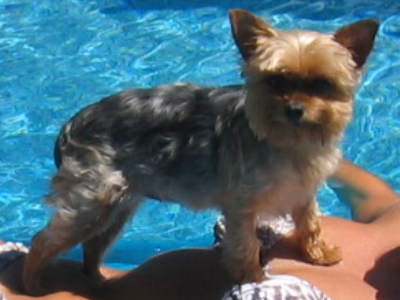 Abbi Picture