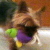 Abbi Picture