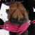 Abbi Picture
